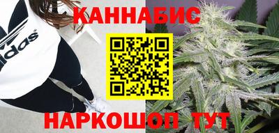 стаф Кулебаки
