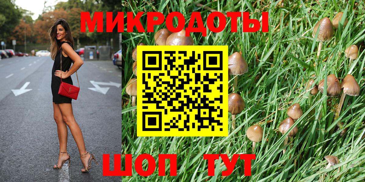 Галлюциногенные грибы Psilocybine cubensis Красноармейск