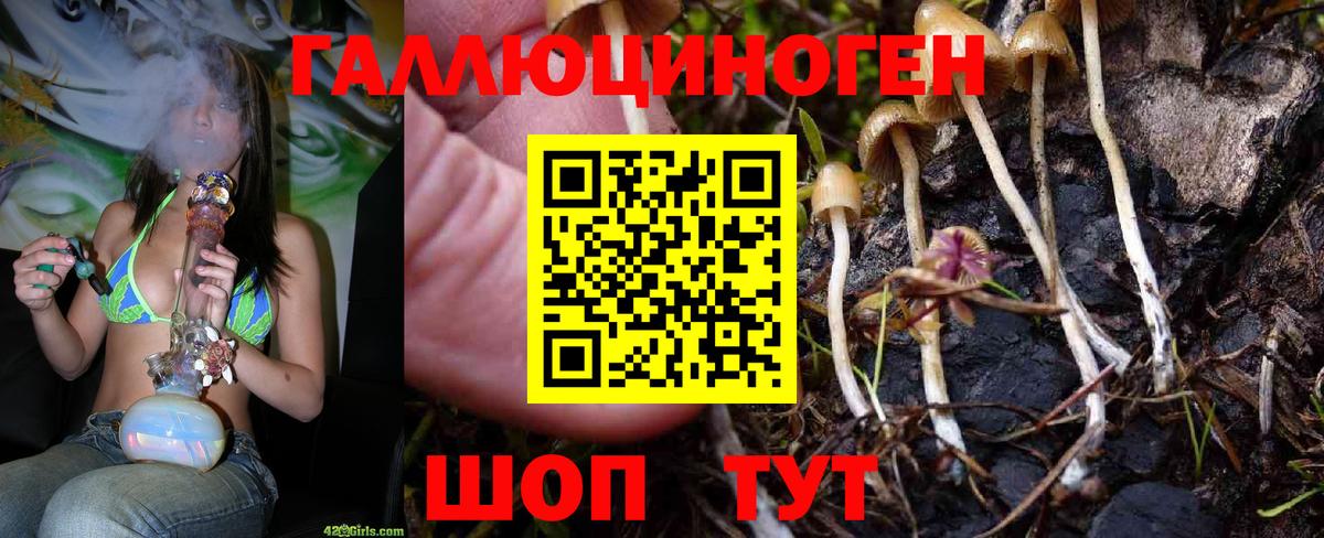 Красноармейск  Галлюциногенные грибы MAGIC MUSHROOMS  Вход с VPN  Псилоцибиновые грибы Cubensis 